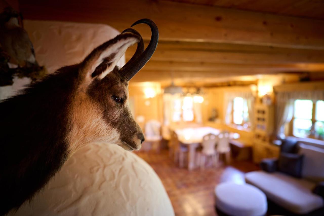 Holiday Chalet "Alpine Dreams" With Private Wellness โซลกาวา ภายนอก รูปภาพ