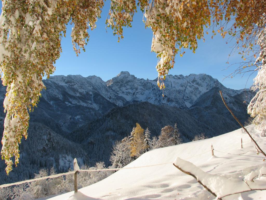 Holiday Chalet "Alpine Dreams" With Private Wellness โซลกาวา ภายนอก รูปภาพ