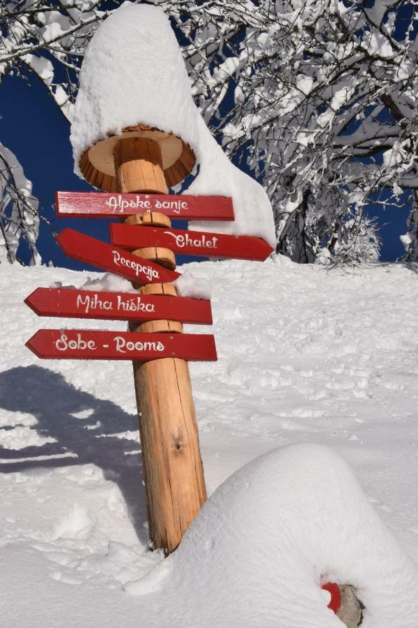Holiday Chalet "Alpine Dreams" With Private Wellness โซลกาวา ภายนอก รูปภาพ
